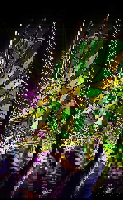 A co-presentation with Adelaide Zoo and presenting partner SA Power Networks